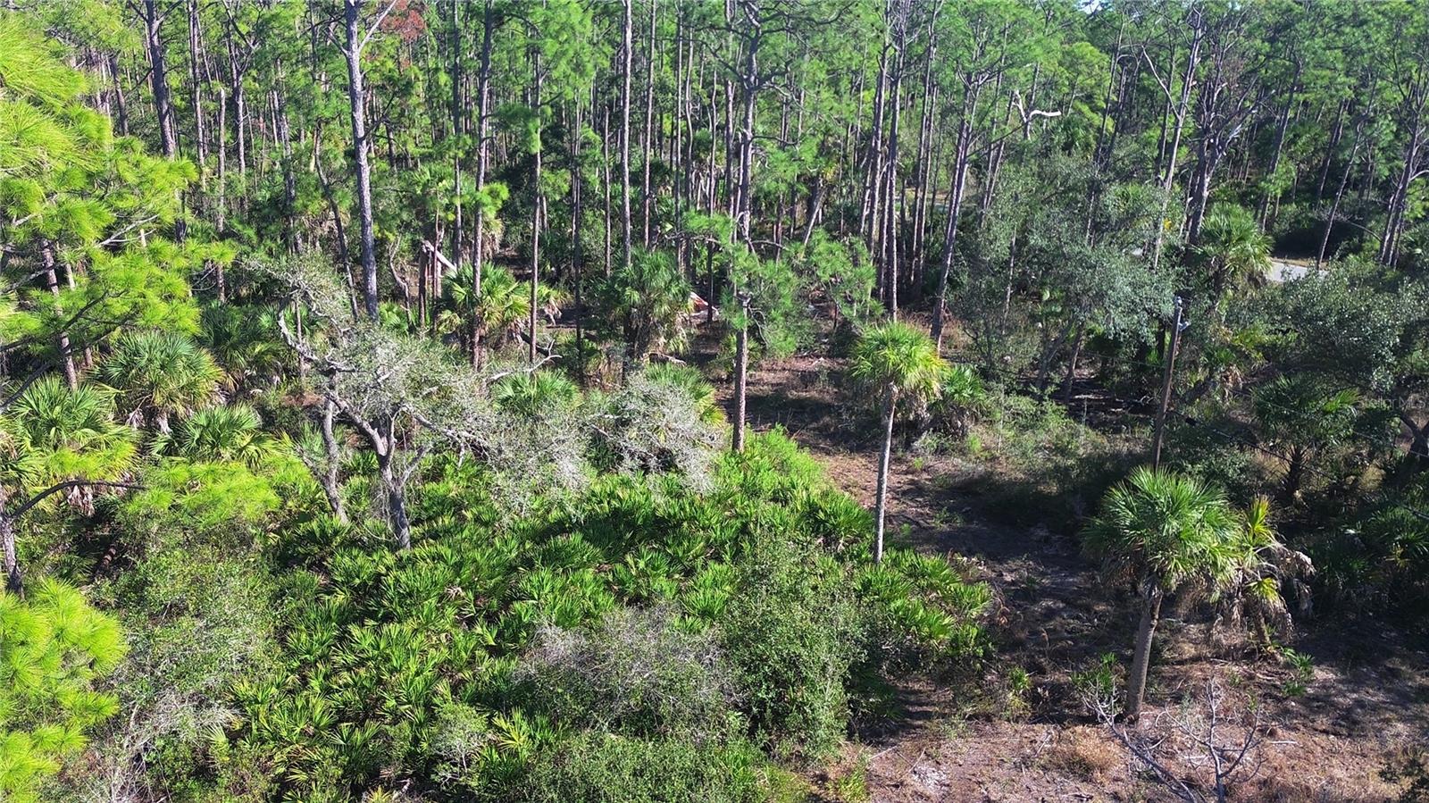 PORT CHARLOTTE SEC 038 - Land