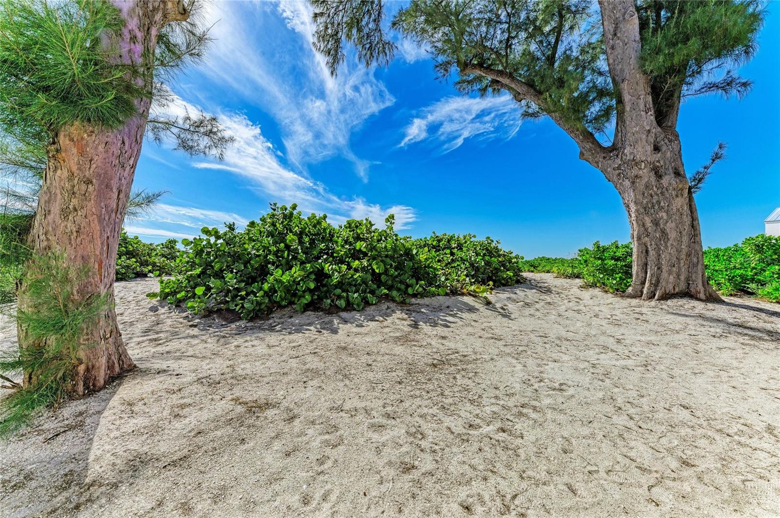 PRINCESS MARTHA APTS - Residential