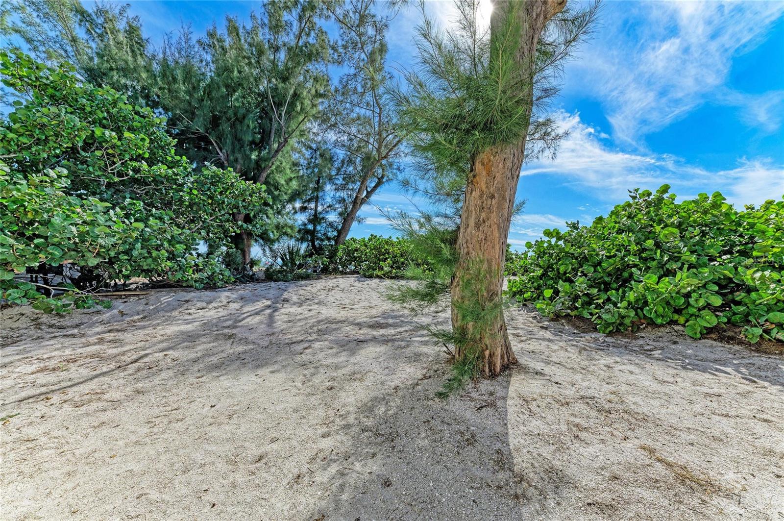 PRINCESS MARTHA APTS - Residential