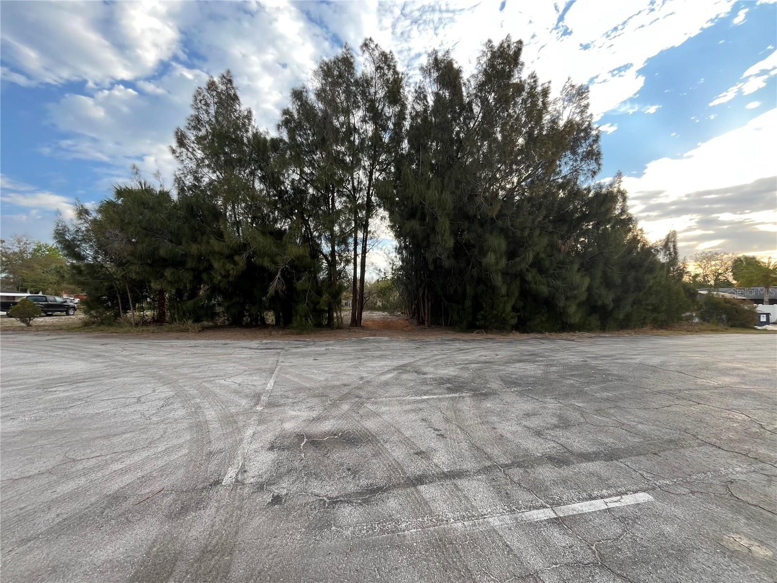 This is a well-maintained vacant lot in Lake County that offers a prime opportunity to build your dream home. Zoned R-6, the property is mostly cleared and ready for construction, with lush surrounding foliage providing natural privacy. Enjoy the convenience of town water and electricity, with minimal septic requirements and ideal elevations for a discreet septic system. Free from large power lines and HOA restrictions, this lot is just minutes from Publix, shopping centers, scenic parks, and beautiful lakes. Don’t miss out on this exceptional homesite in a thriving community!