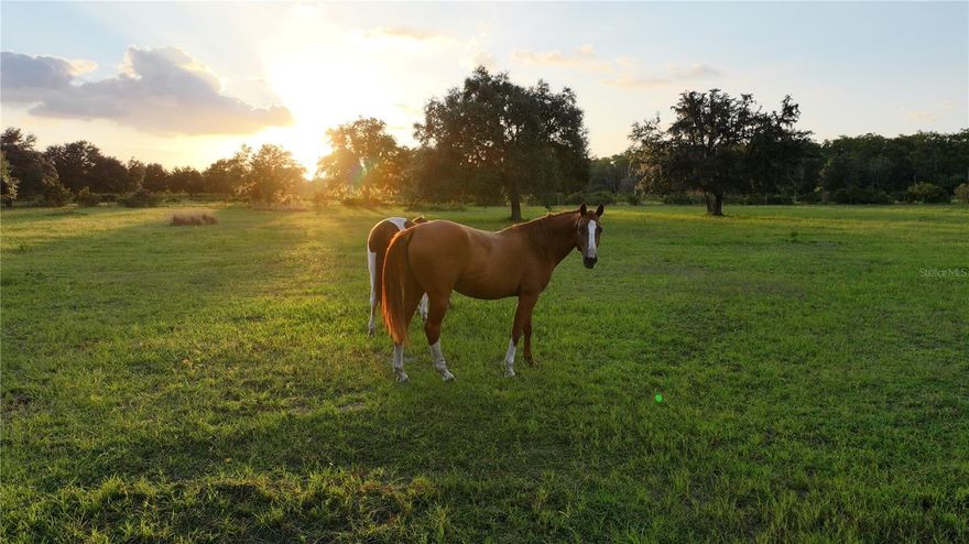 Exceptional opportunity to own 30 acres of agricultural land in Myakka city, ideally located with convenient access to Lakewood Ranch, Sarasota and Arcadia. The property is currently used as a small sod operation, grazing land, camper/boat storage, and an ATV and Horseback riding business, offering flexibility for agricultural, recreational, or equestrian use. The land features a mix of open pasture and wooded areas, suitable for cattle, horses, ATV riding, hunting, bird watching, and outdoor recreation. Electric and water are on site. Terra Nova Equestrian and Myakka State Park are about 5-6 miles away. Mineral rights don't convey.