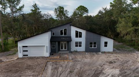 Photo of 30551 Saffron Avenue, Eustis, FL 32736 (MLS # G5096530)