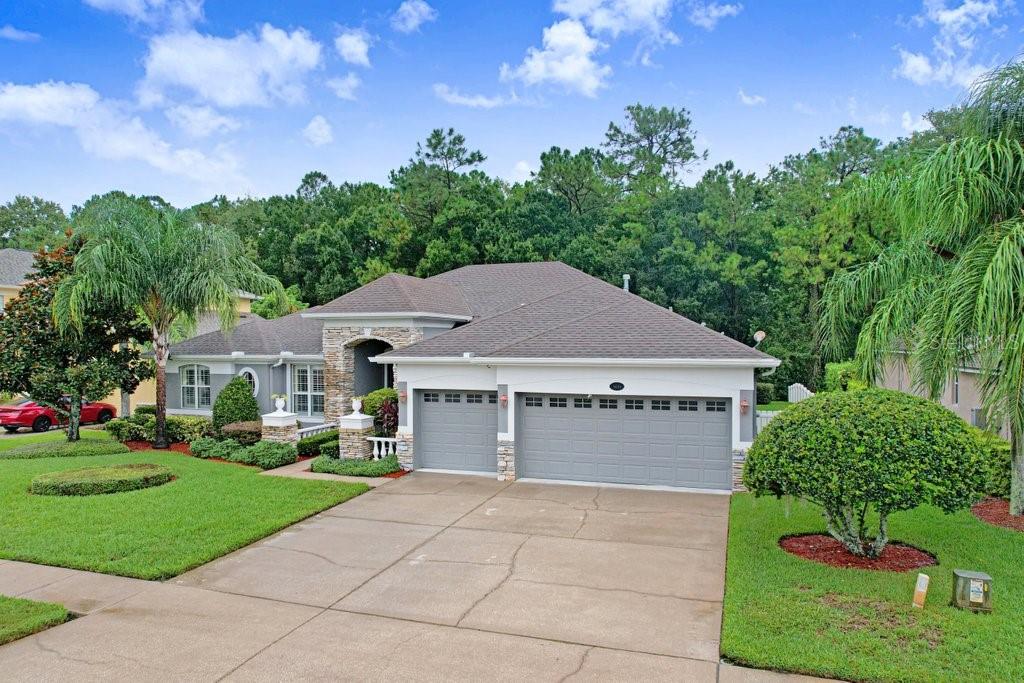 16116 IVY LAKE DRIVE