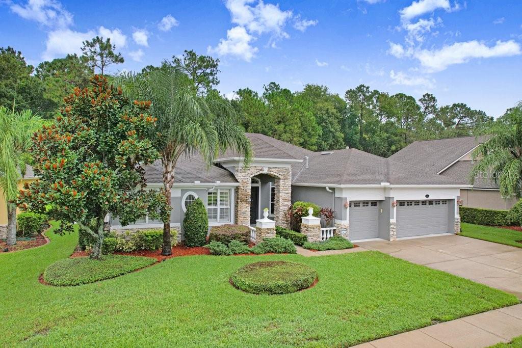 16116 IVY LAKE DRIVE