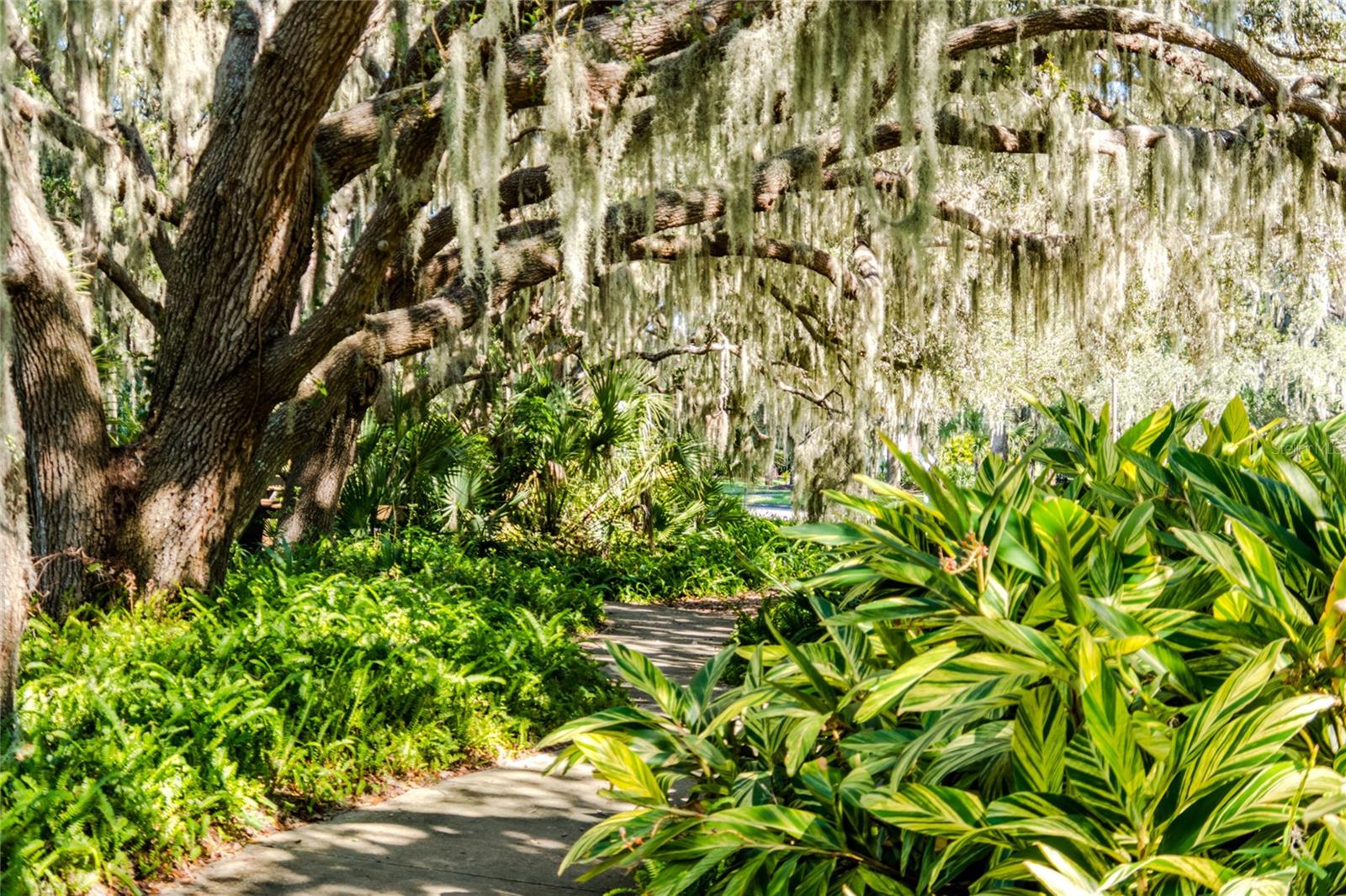 FOREST CREEK PH I & IIA - Residential