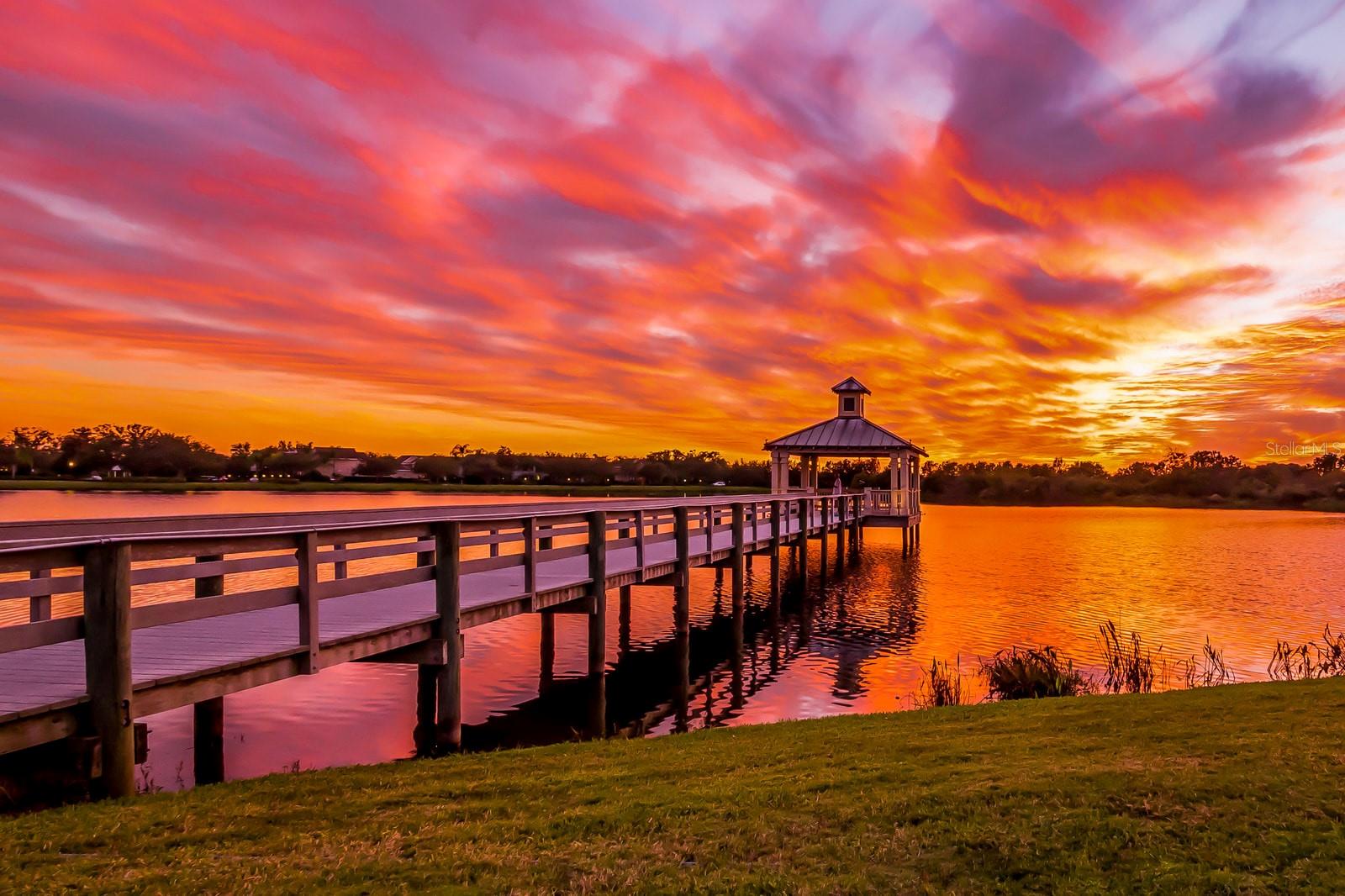 FOREST CREEK PH I & IIA - Residential