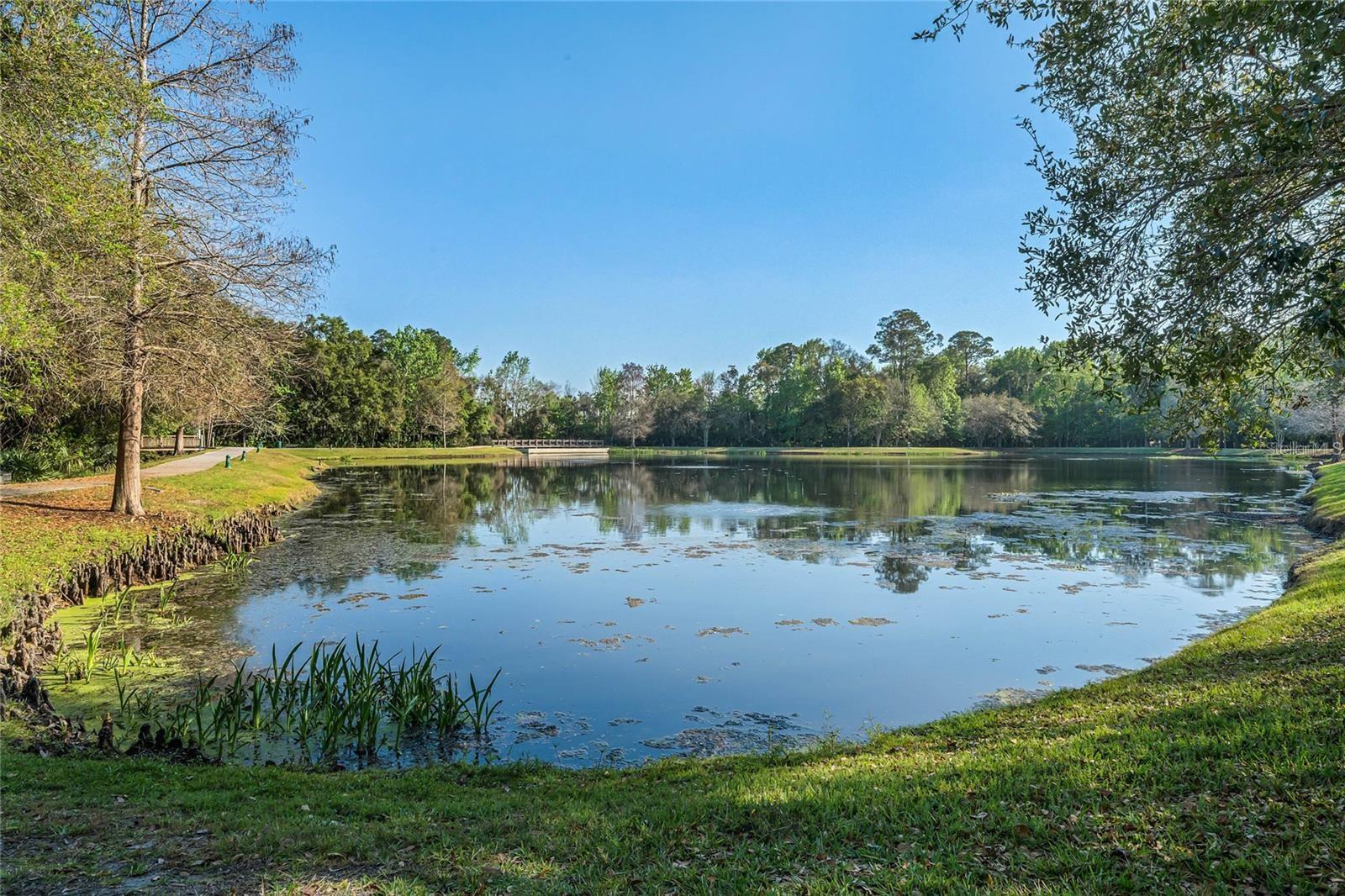 CELEBRATION LAKE EVALYN - Residential Lease