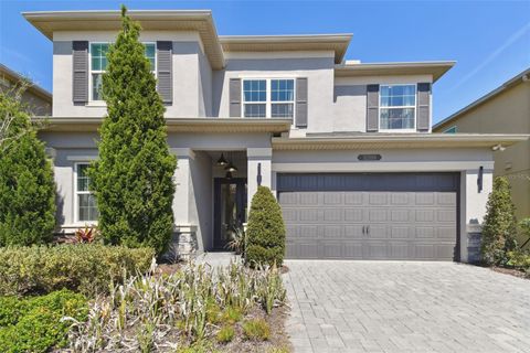 32199 MAHOGANY VALLEY DRIVE WESLEY CHAPEL FL 33543