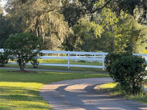 Tiny photo for 33015 Sahara Court, Sorrento, FL 32776 (MLS # O6387345)