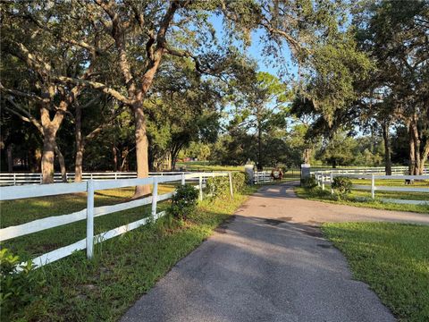 Tiny photo for 33015 Sahara Court, Sorrento, FL 32776 (MLS # O6387345)