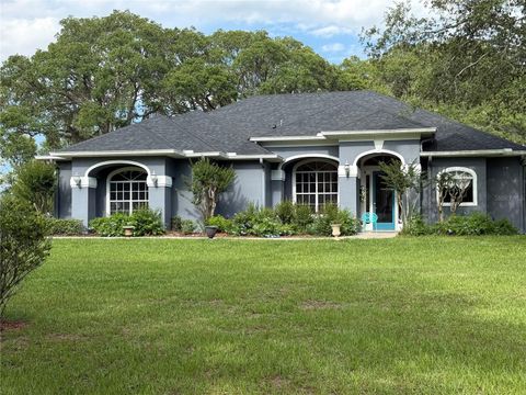 Tiny photo for 33015 Sahara Court, Sorrento, FL 32776 (MLS # O6387345)