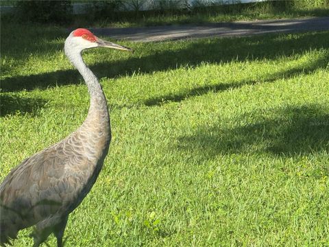 Tiny photo for 33015 Sahara Court, Sorrento, FL 32776 (MLS # O6387345)