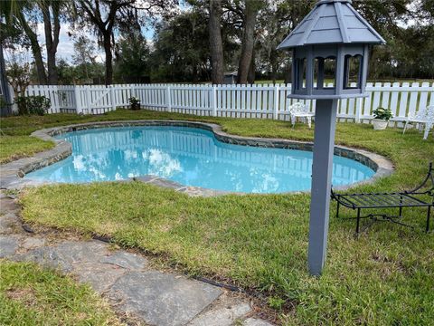 Tiny photo for 33015 Sahara Court, Sorrento, FL 32776 (MLS # O6387345)