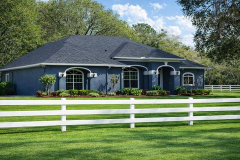 Photo of 33015 Sahara Court, Sorrento, FL 32776 (MLS # O6387345)