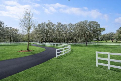 Tiny photo for 33015 Sahara Court, Sorrento, FL 32776 (MLS # O6387345)