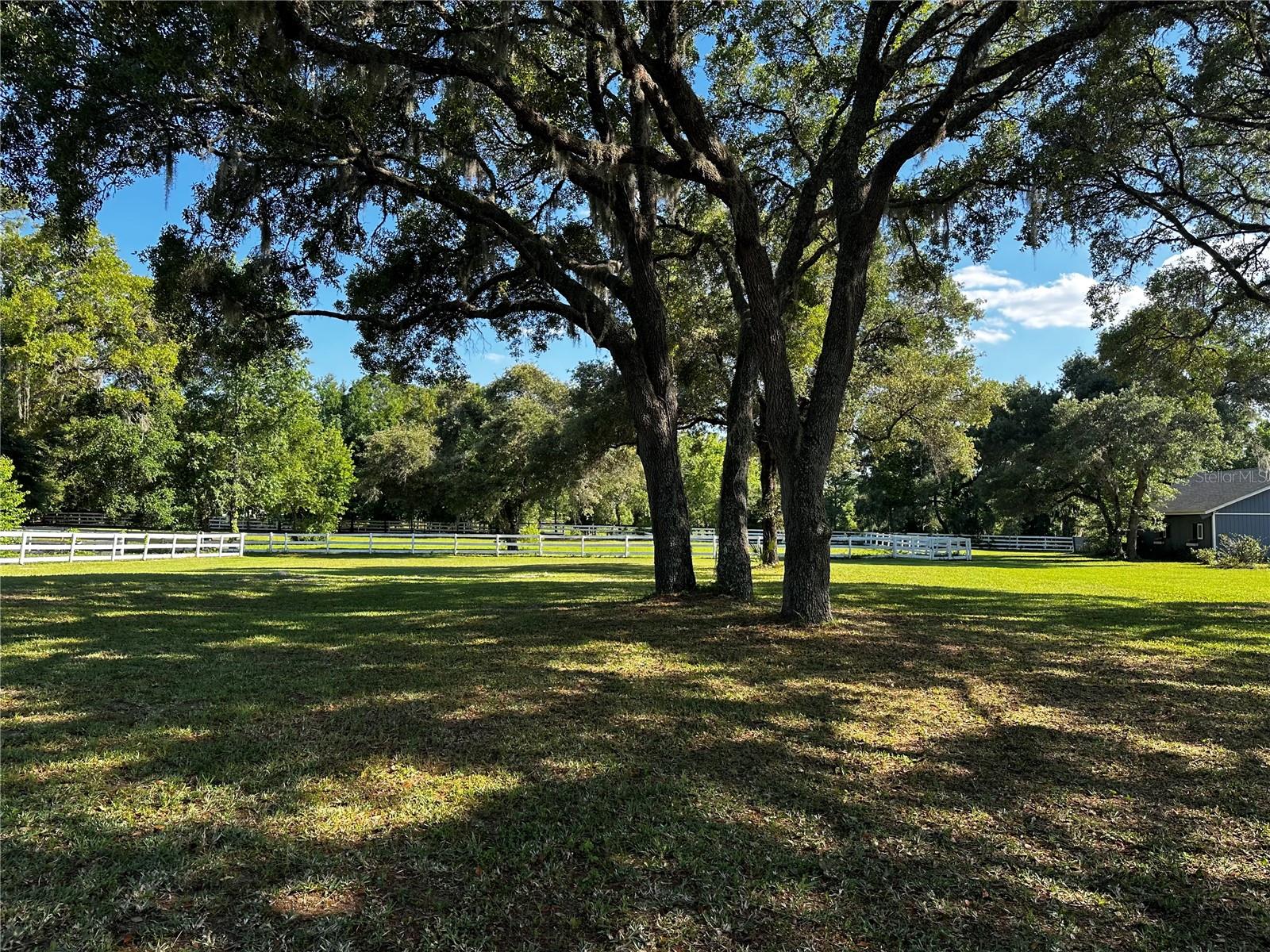RODRIQUEZ GRANT - Residential