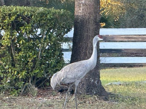 Tiny photo for 33015 Sahara Court, Sorrento, FL 32776 (MLS # O6387345)