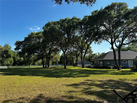 Tiny photo for 33015 Sahara Court, Sorrento, FL 32776 (MLS # O6387345)