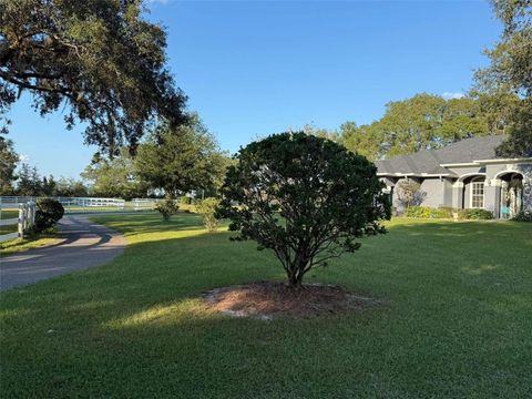 Tiny photo for 33015 Sahara Court, Sorrento, FL 32776 (MLS # O6387345)