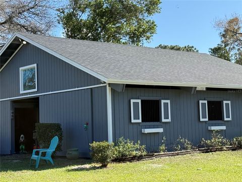 Tiny photo for 33015 Sahara Court, Sorrento, FL 32776 (MLS # O6387345)