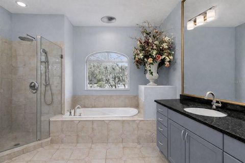 Tiny photo for 33015 Sahara Court, Sorrento, FL 32776 (MLS # O6387345)