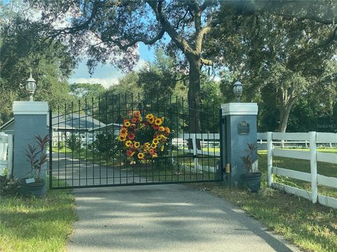 Tiny photo for 33015 Sahara Court, Sorrento, FL 32776 (MLS # O6387345)