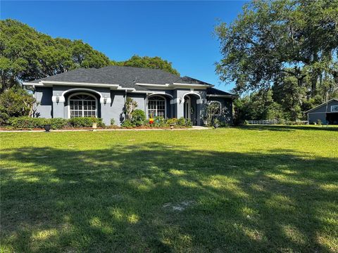 Tiny photo for 33015 Sahara Court, Sorrento, FL 32776 (MLS # O6387345)