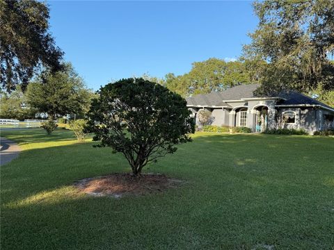 Tiny photo for 33015 Sahara Court, Sorrento, FL 32776 (MLS # O6387345)
