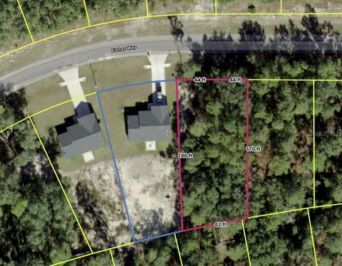 Photo of Tbd Fisher Way, Ocklawaha, FL 32179 (MLS # O6395501)