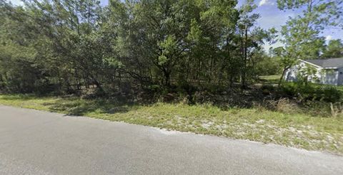Tiny photo for Tbd Fisher Way, Ocklawaha, FL 32179 (MLS # O6395501)
