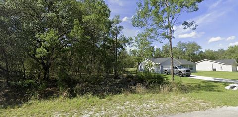Tiny photo for Tbd Fisher Way, Ocklawaha, FL 32179 (MLS # O6395501)