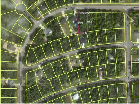 Tiny photo for Tbd Fisher Way, Ocklawaha, FL 32179 (MLS # O6395501)