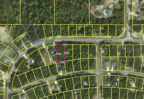 Tiny photo for Tbd Fisher Way, Ocklawaha, FL 32179 (MLS # O6395501)