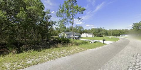 Tiny photo for Tbd Fisher Way, Ocklawaha, FL 32179 (MLS # O6395501)