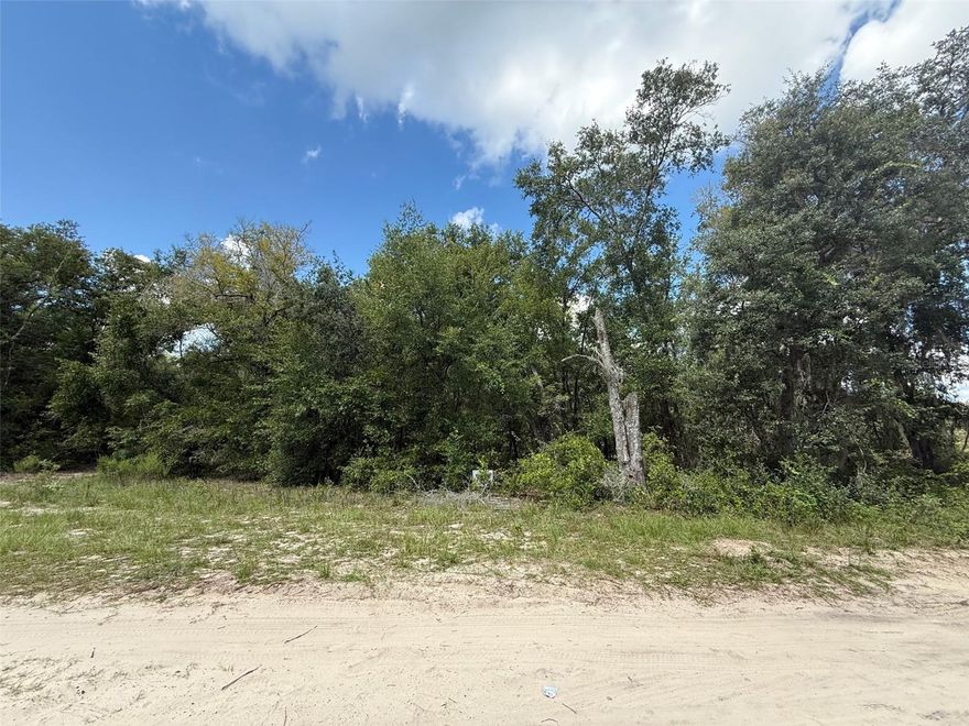 Escape the hustle and embrace the charm of small-town Florida living with this beautiful parcel in Hawthorne. This lot offers the perfect opportunity to create your dream home, a peaceful weekend retreat, or an investment property. Located just a short drive to Gainesville and Palatka, you’ll enjoy both privacy and convenience.
