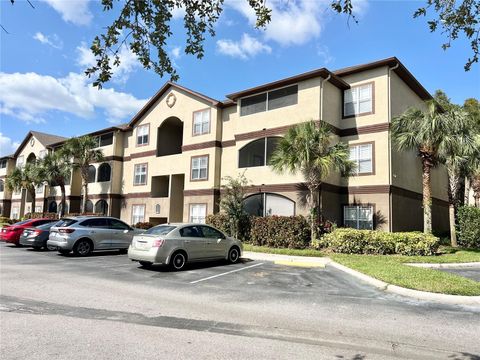 16511 ENCLAVE VILLAGE DRIVE 107 TAMPA FL 33647