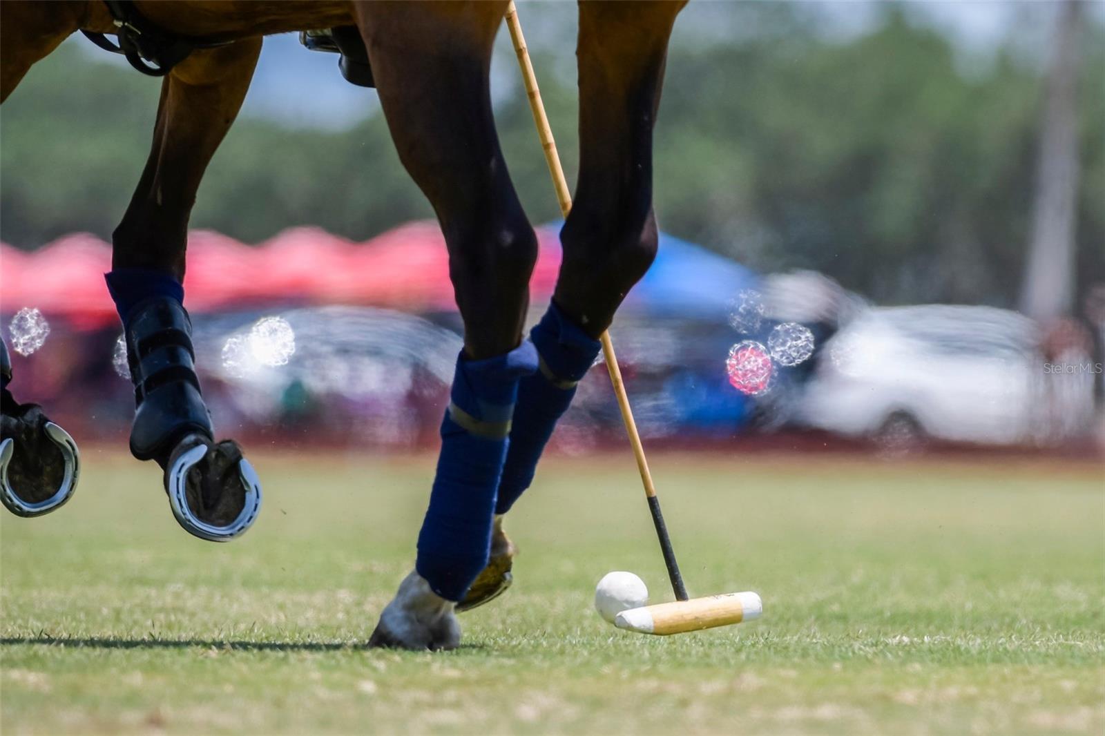 WATERBURY TRACTS CONTINUED - Residential