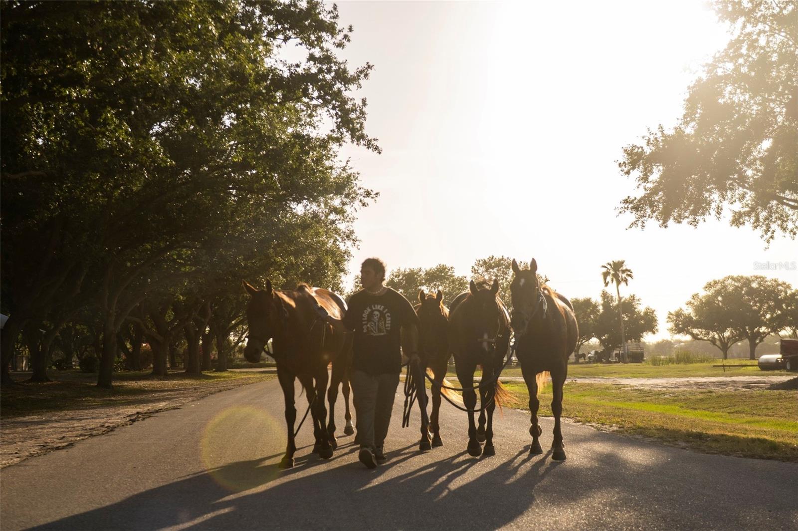 WATERBURY TRACTS CONTINUED - Residential