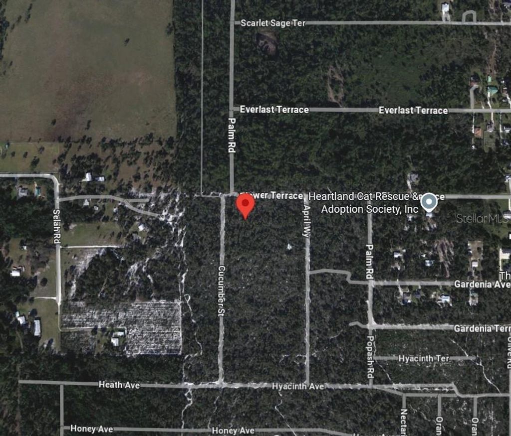 Photo of 5306 Cucumber Street, Sebring, FL 33875 (MLS # A4693586)