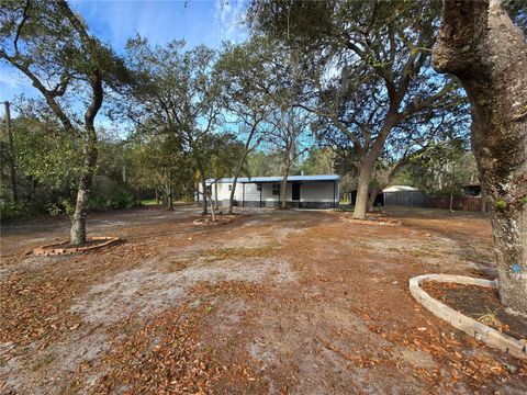 43541 DIXIE DRIVE PAISLEY FL 32767