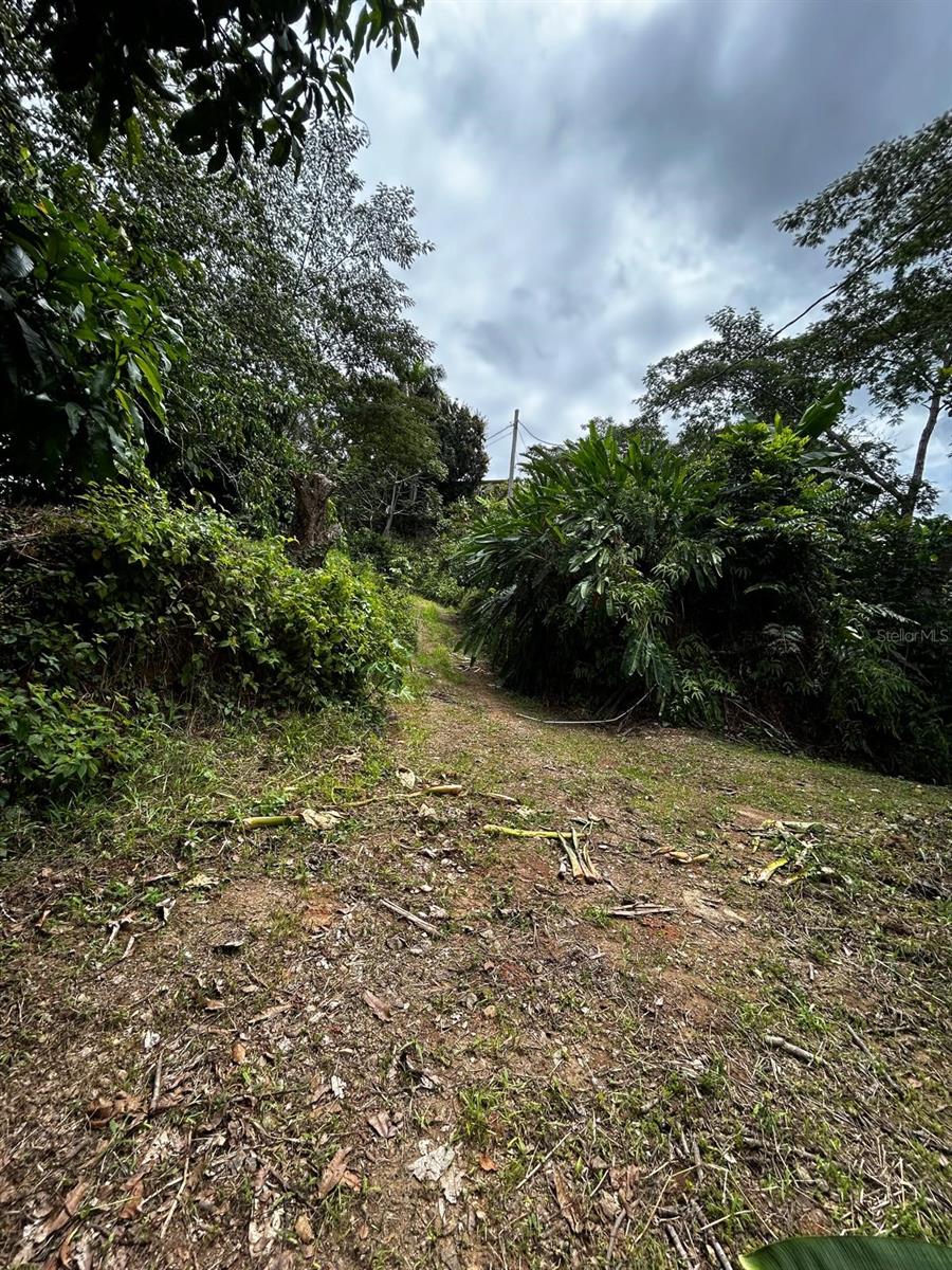 Barrio Pezuelas SECTOR TRES CRUCES