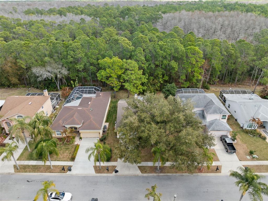 Photo of 1727 Bayhill Drive, Oldsmar, FL 34677 (MLS # TB8477680)