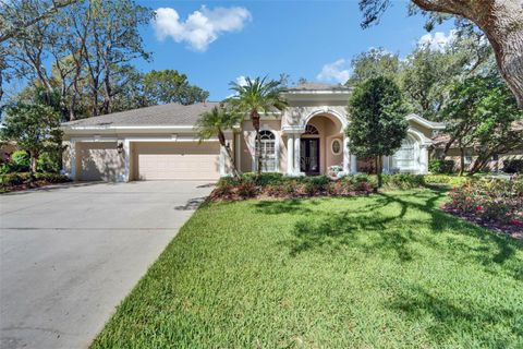 5611 EAGLEGLEN PLACE LITHIA FL 33547