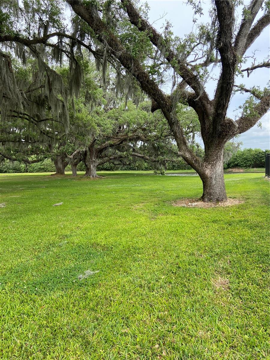 WEXFORD TWNHMS - Residential