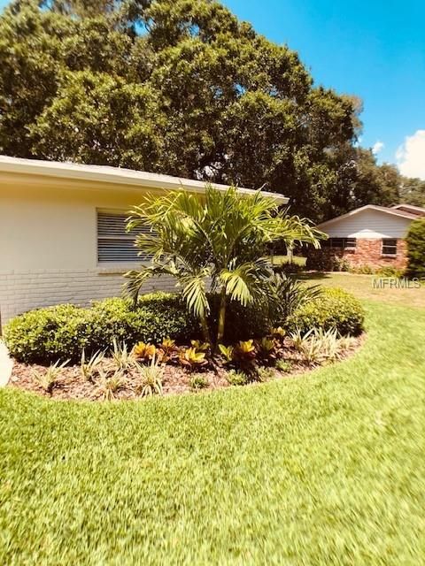 A home in TAMPA