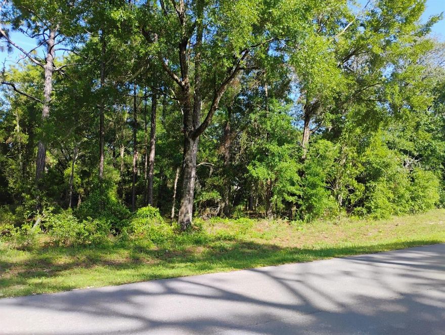 Come see this beautiful lot in the Williston Highlands Golf and Country Club Estates. Approximately 25 minutes to Gainesville. You will find many new constructions of homes in the area. This lot offers a blank canvas for your imagination and floor plan. This is a corner lot on NE 155th CT and NE 11th ST