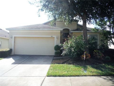 403 FERN GULLEY DRIVE SEFFNER FL 33584
