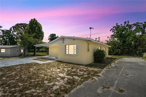 1125 EMERALD DRIVE MOUNT DORA FL 32757