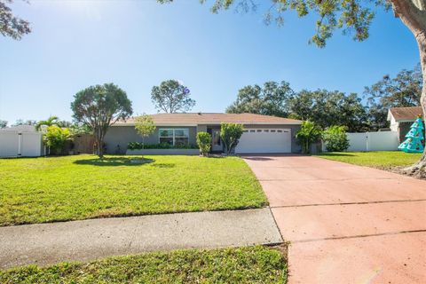 A home in CLEARWATER