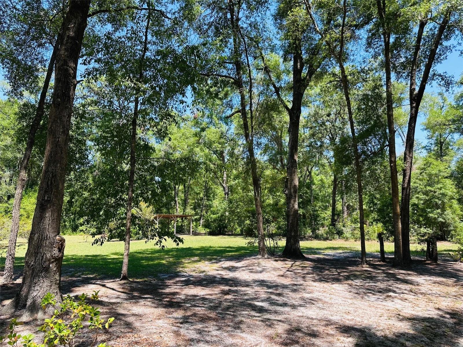 CEDAR PINES - Residential